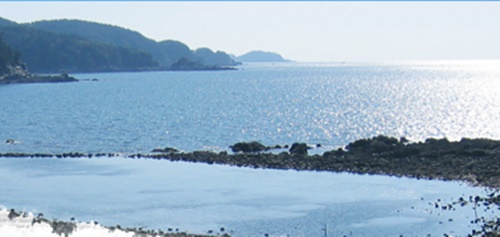 태안 가볼만한곳