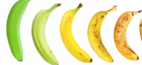 바나나 이미지