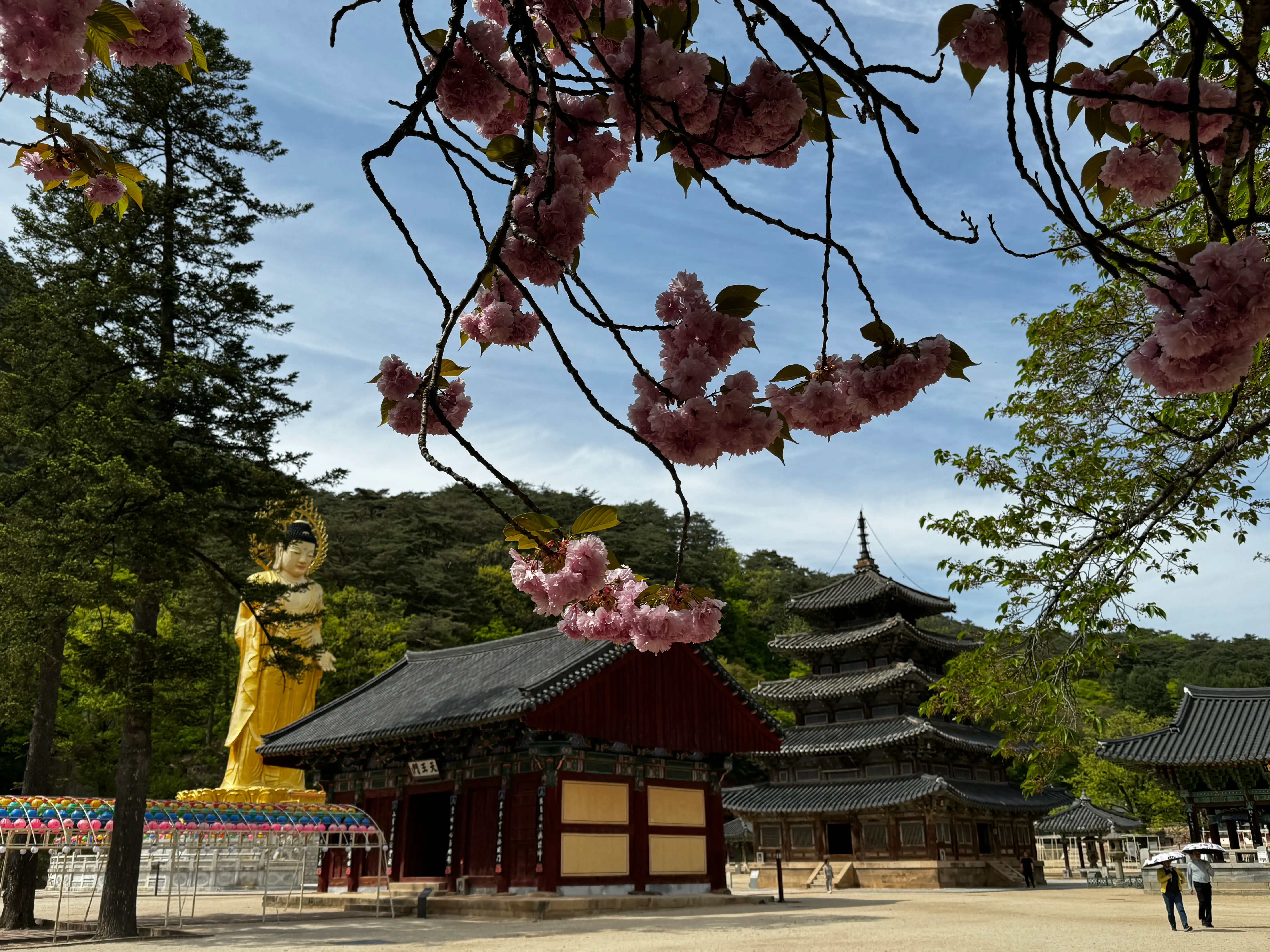 속리산 법주사의 웅장한 대웅전 모습