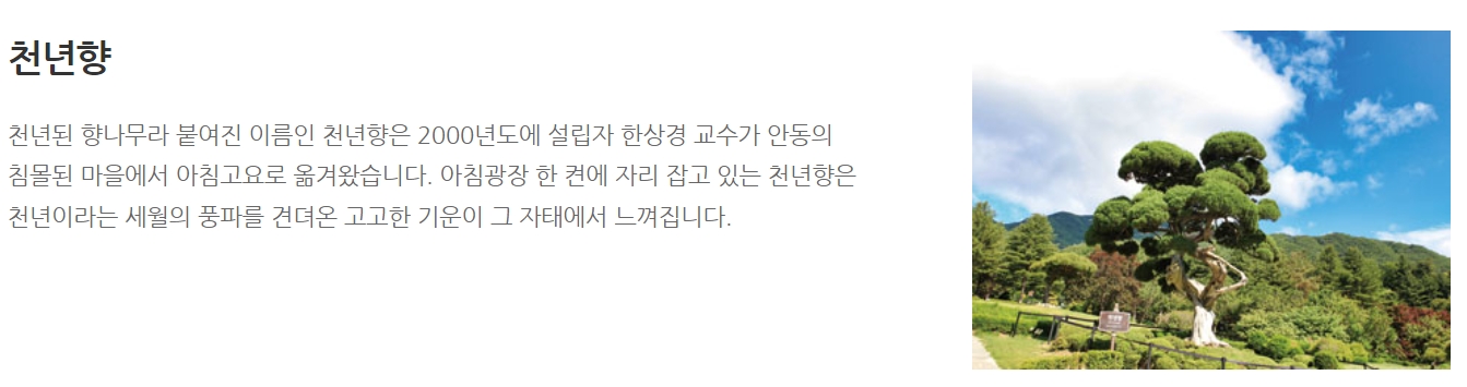 아침고요수목원