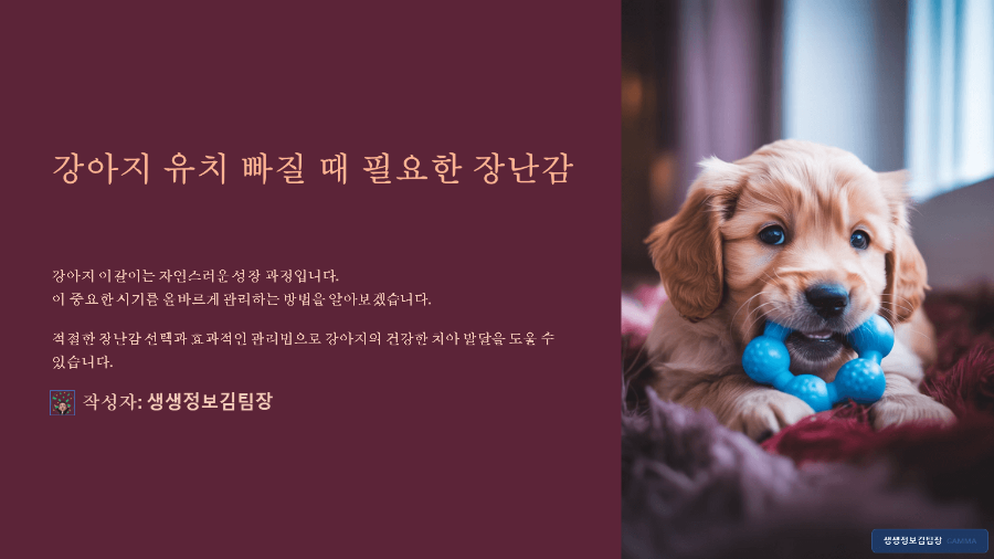 강아지 유치 빠질 때 필요한 장난감 - 올바른 교체 시기와 선택 팁