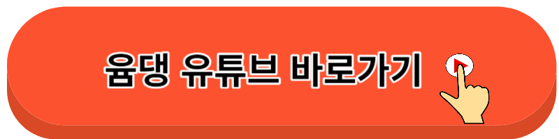 대도서관 윰댕 이혼