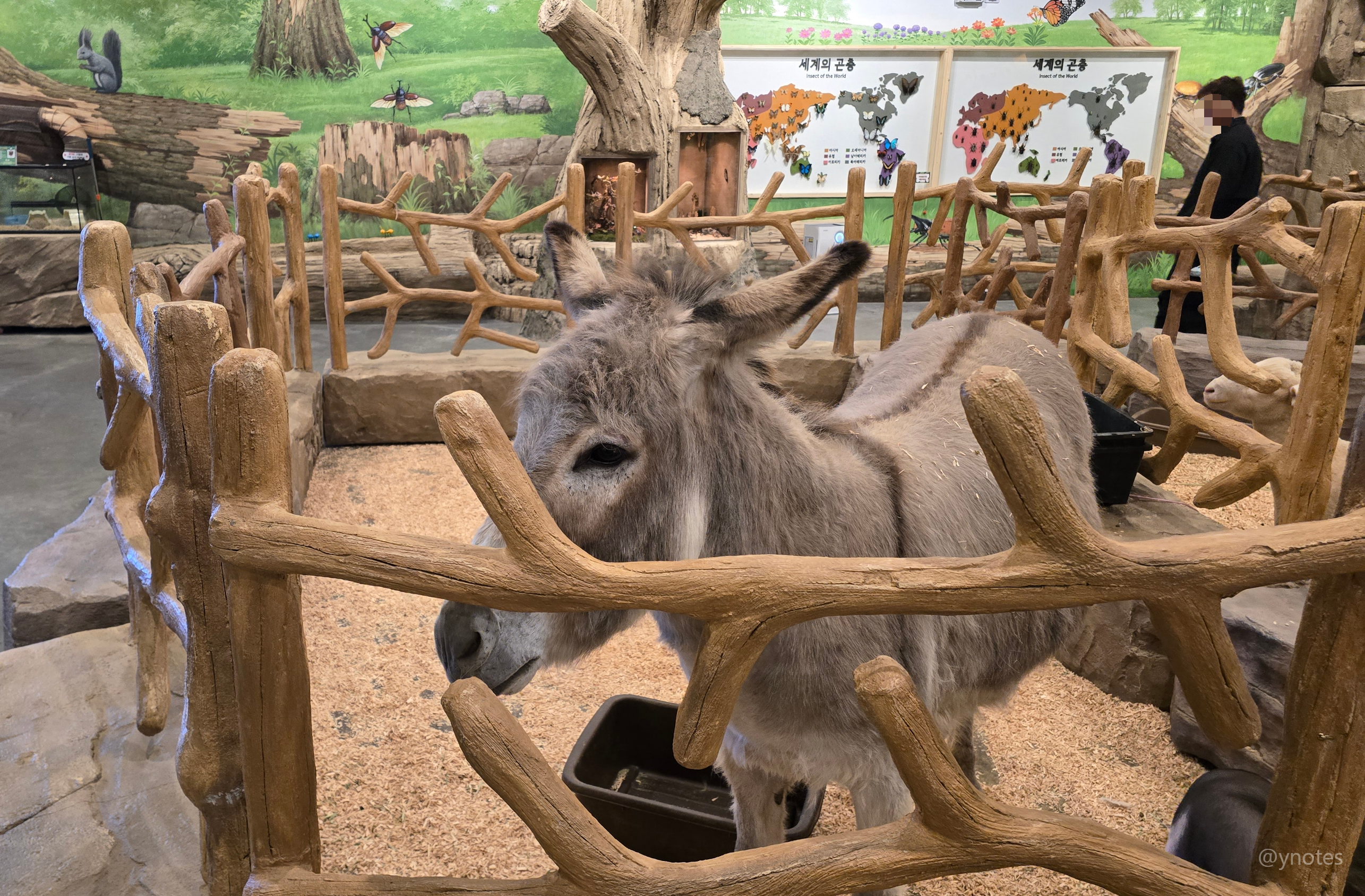 쥬뗌므 키즈랜드