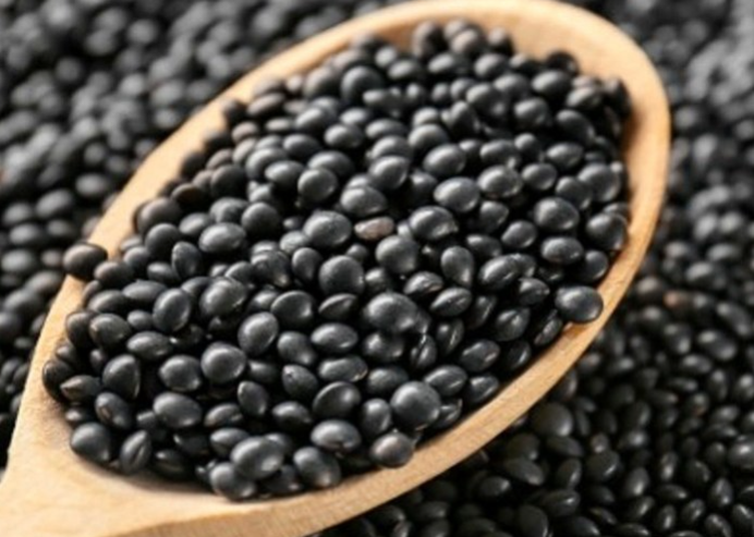 블랙렌틸콩