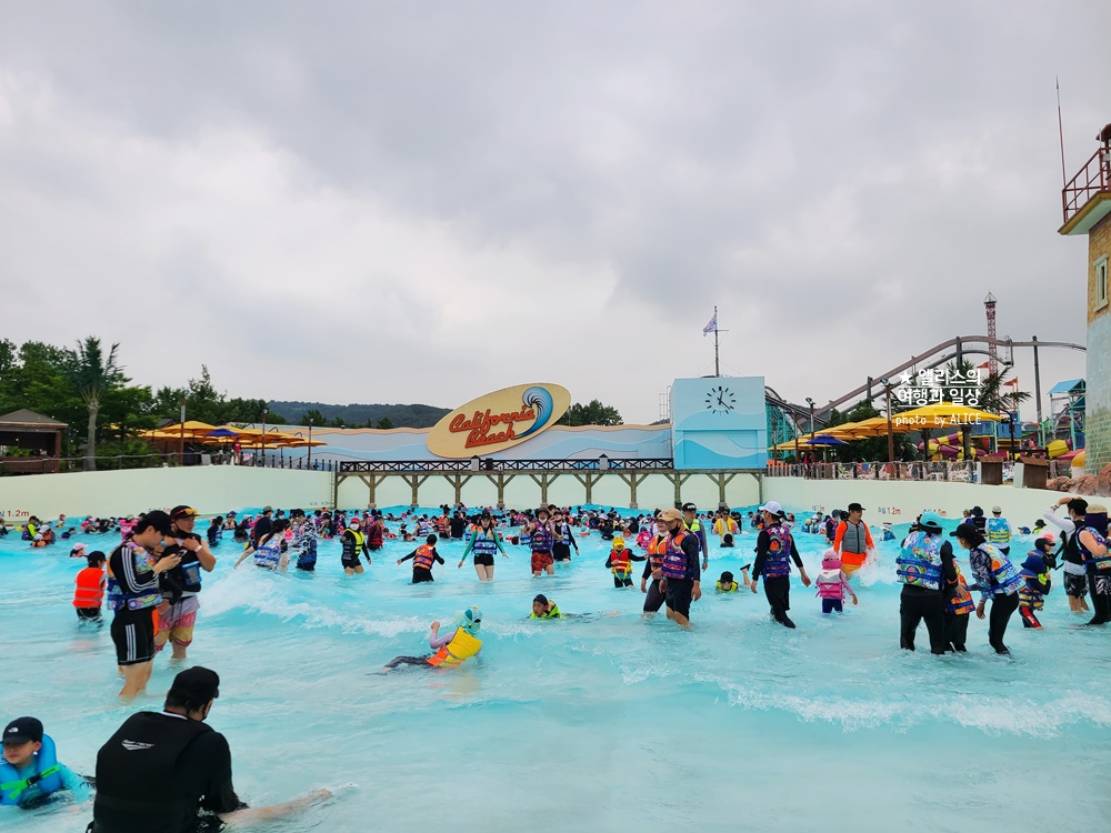 경주 캘리포니아비치 가격, 할인 예약방법, 복장, 준비물, 가는방법, 싸이버거 워터밤 콘서트