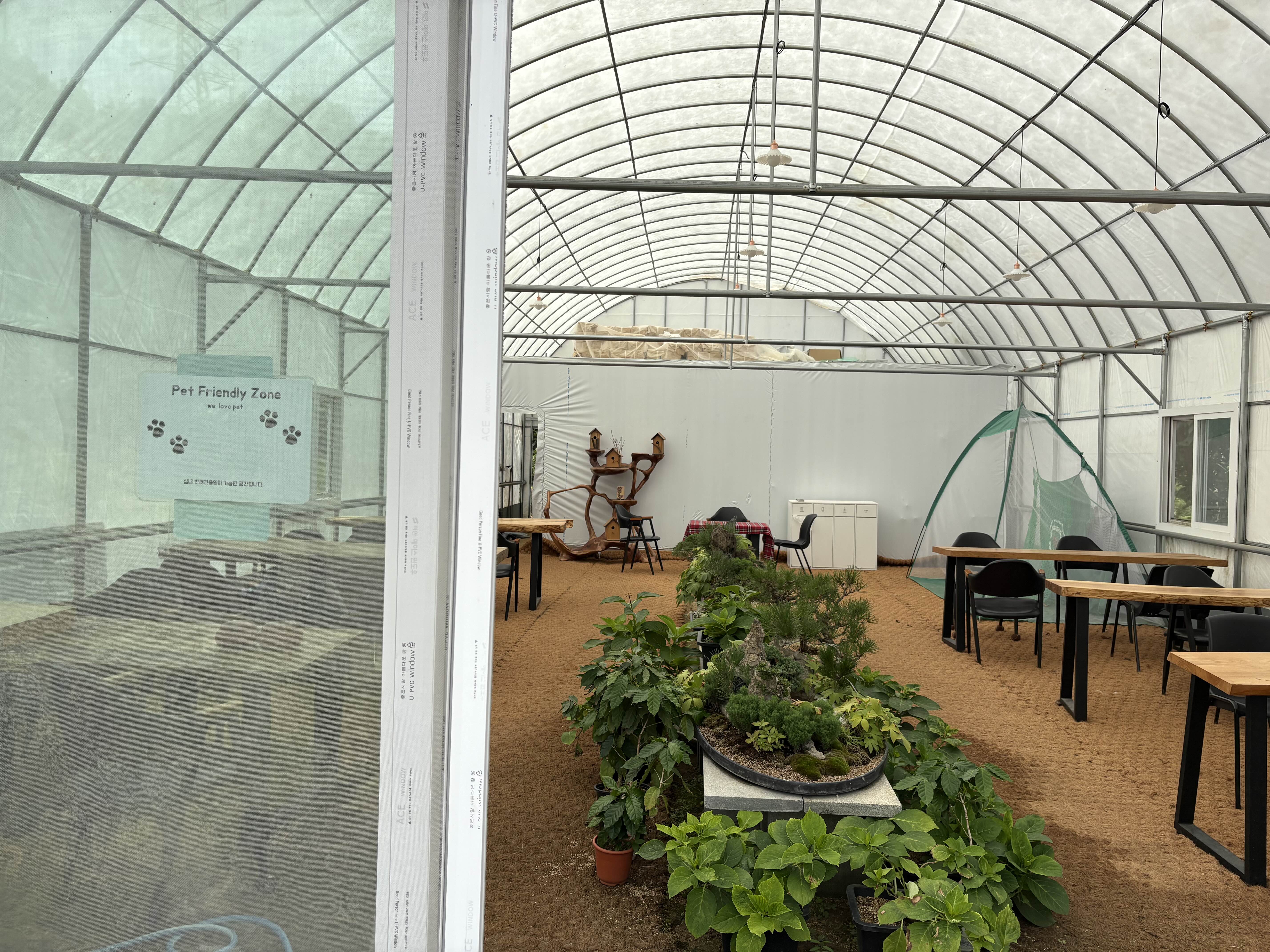 [아산 배방 카페] 배방 숲 방문기 ❘ 브런치, 반려견 야외 동반 가능한 힐링 카페
