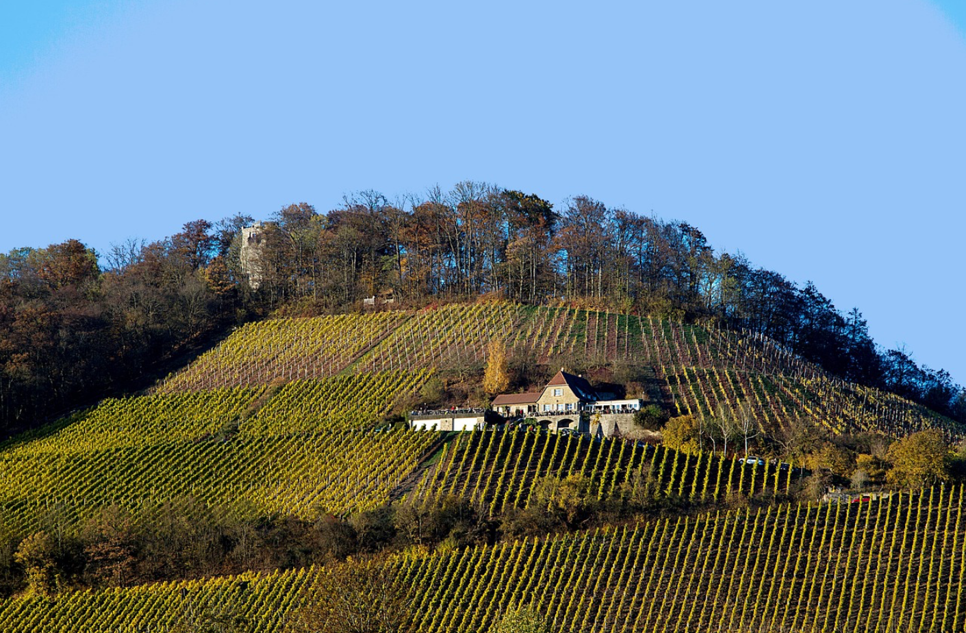 퇴직 후 소도시 한 달 살기 – 50대 맞춤 시골 생활 체험기