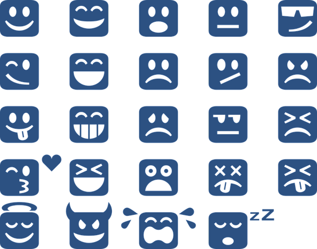 감정은 언어로 표현될 수 있는가? 말로 설명할 수 없는 마음