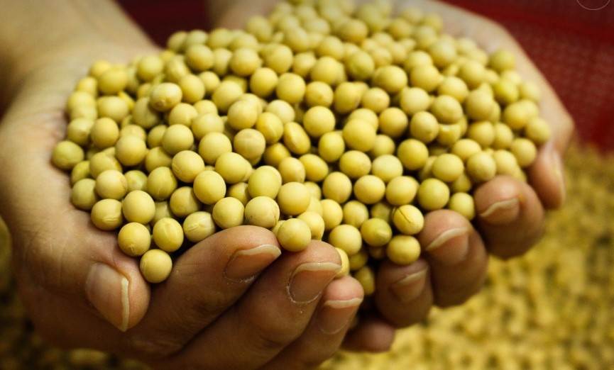 해남미소절임배추 사전예약 꿀팁! 10kg·20kg 가격 비교