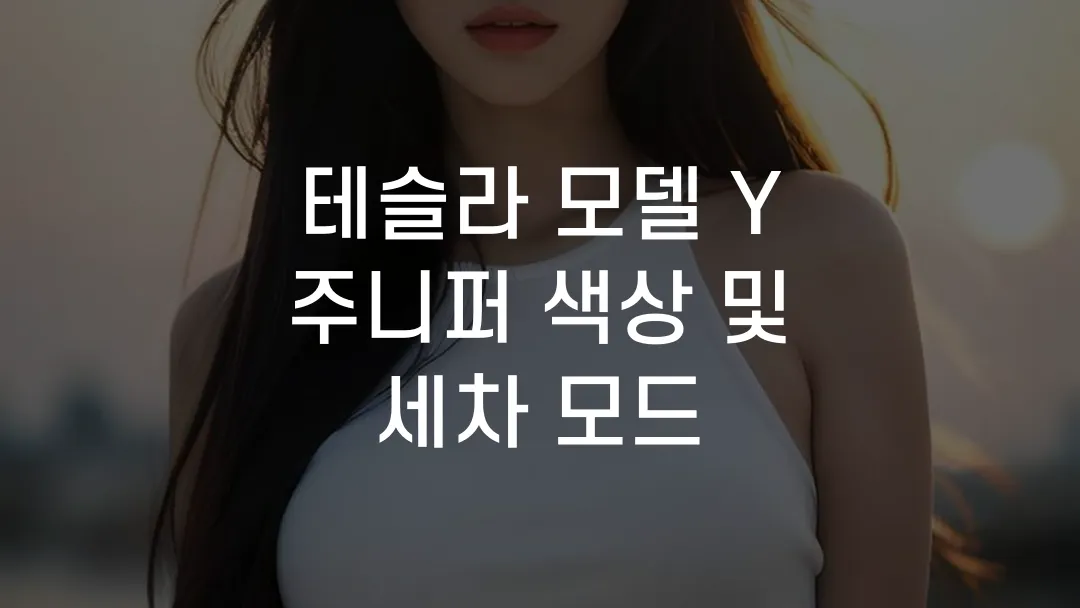 테슬라 모델 Y 주니퍼 색상 및 세차 모드