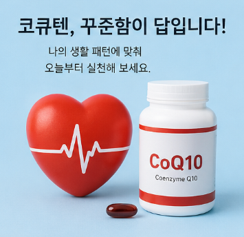 코큐텐 언제 먹어야 효과 좋을까? 아침&middot;저녁 복용 시간 총정리1