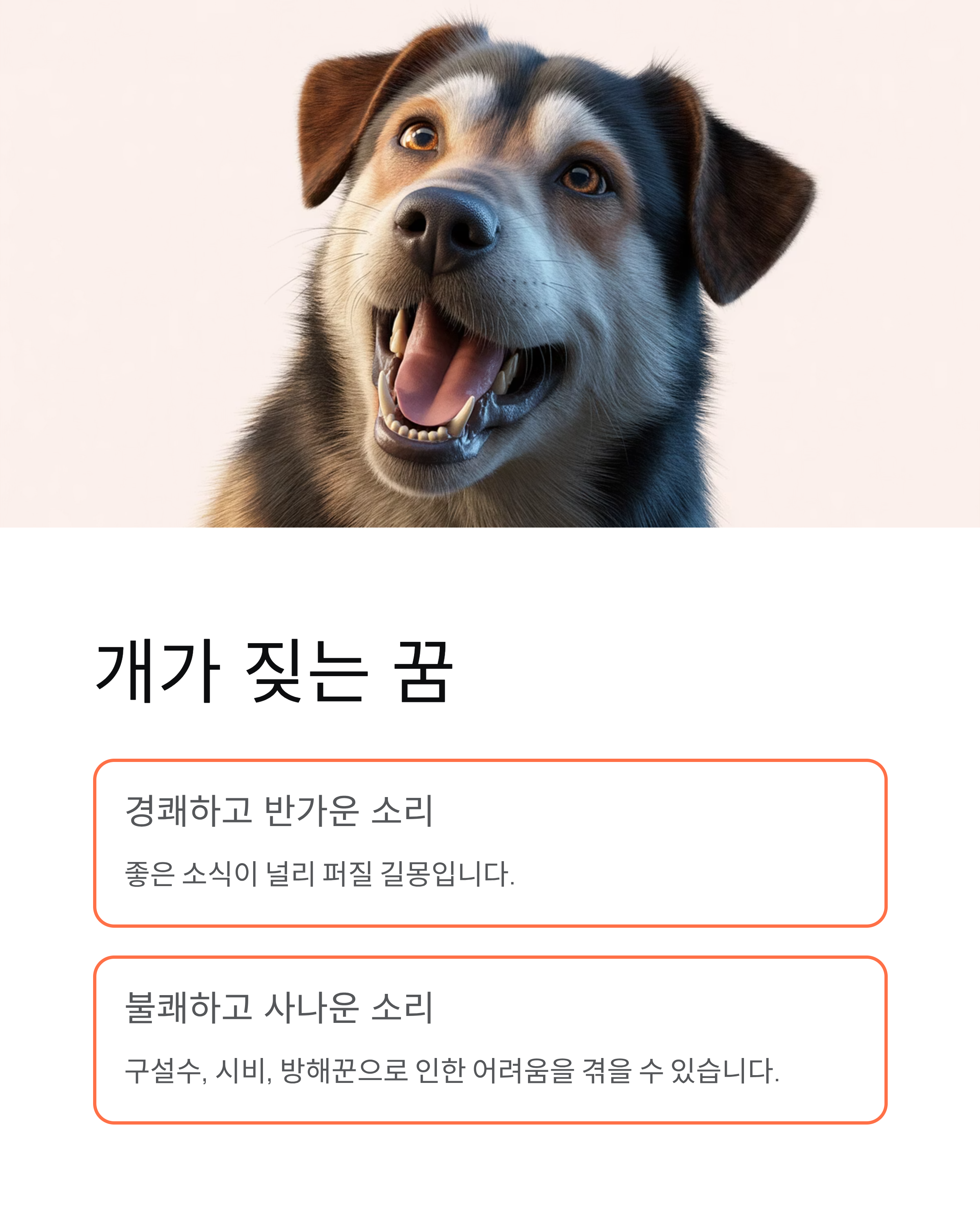 개꿈 해몽, 개한테 **물리는 꿈**은 대박 횡재수? **강아지 낳는 꿈** 태몽 핵심 정리!