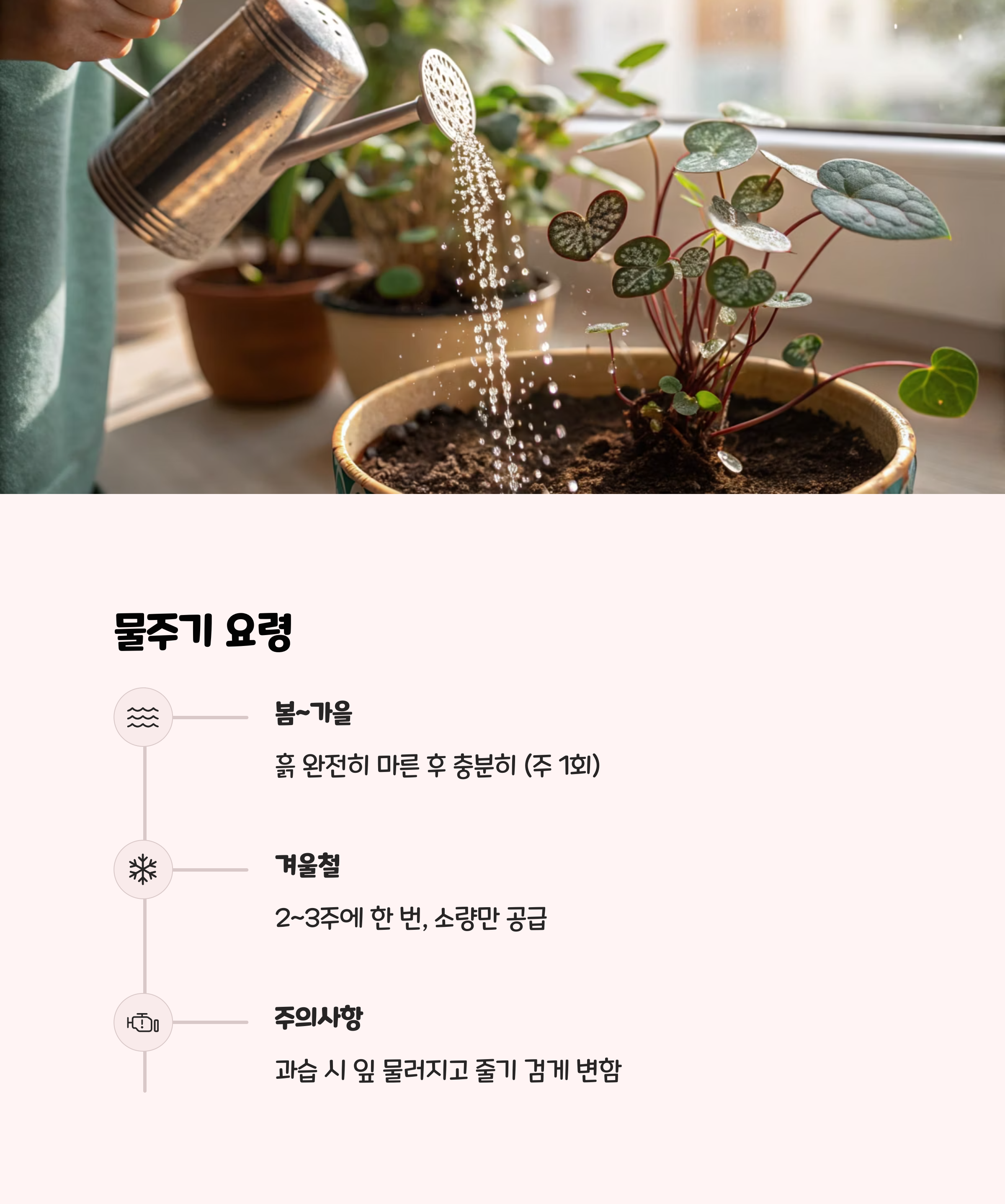 러브체인