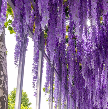 서울국제정원박람회 맛집할인