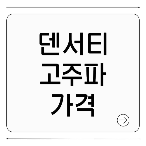 덴서티 고주파