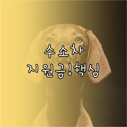 2024년 수소차 구매 지원 대상 조..