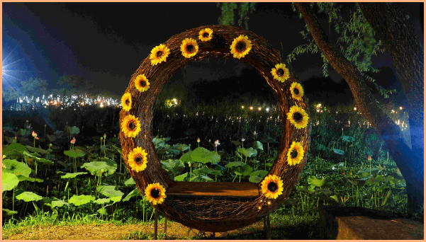 서동공원(궁남지)