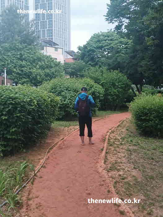 맨발걷기 효능 혈관 건강