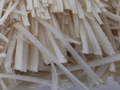 팽이버섯 사진33