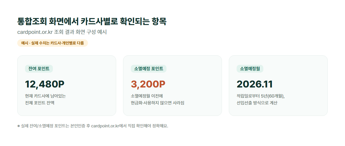 카드사별 잔여 포인트·소멸예정 포인트·소멸예정 월 확인 항목 예시