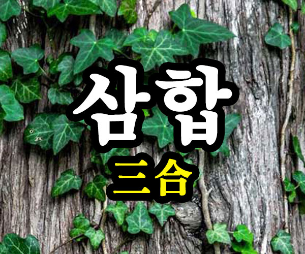 삼합 썸네일