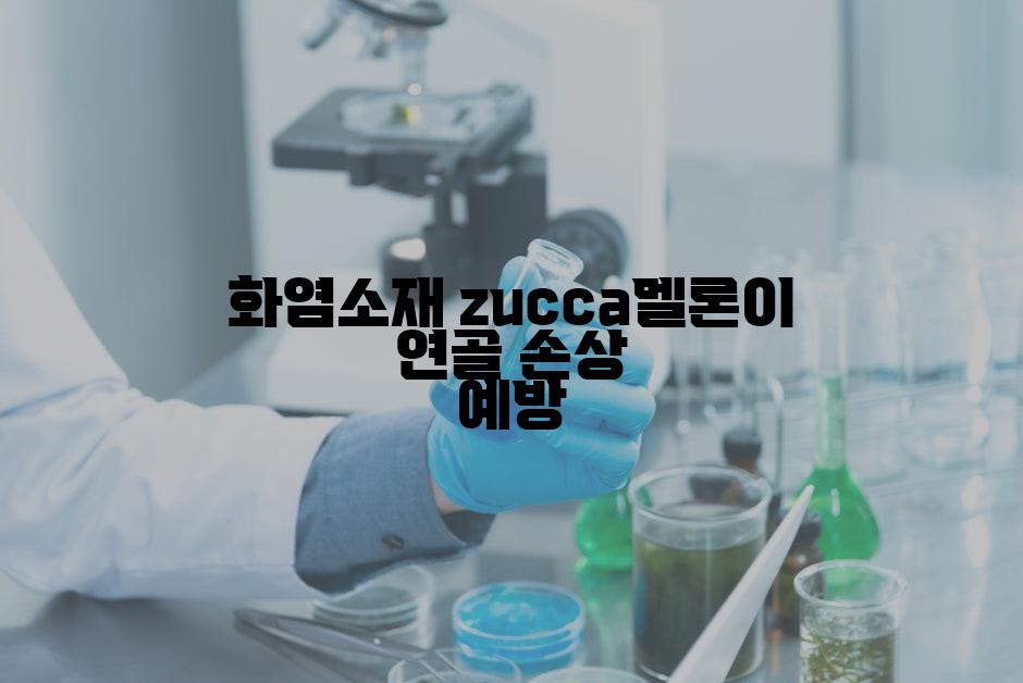 화염소재  zucca멜론이 연골 손상 예방