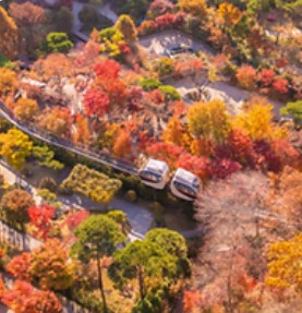 화담숲 예약: 한국의 고요한 수목원을 방문하는 방법, 입장료, 그리고 계절별 팁