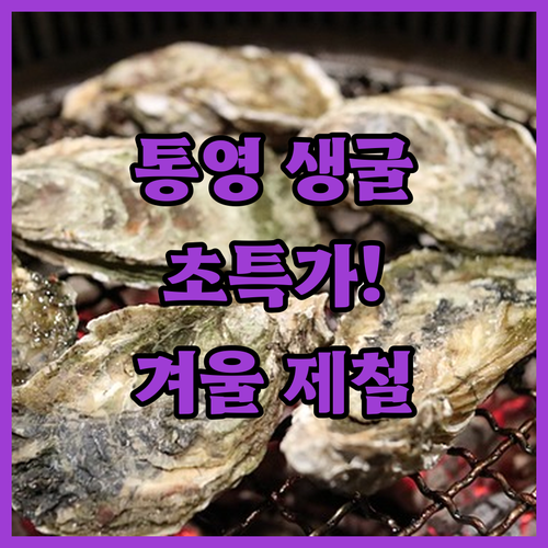 통영 생굴 특가 정보 신선한 겨울 제