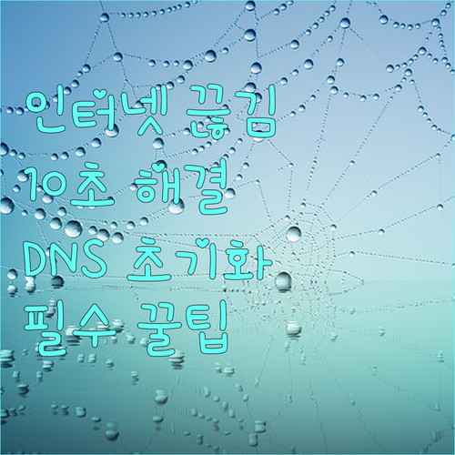 윈도우 명령 프롬프트 활용 DNS 캐..