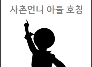 사촌언니 아들 호칭