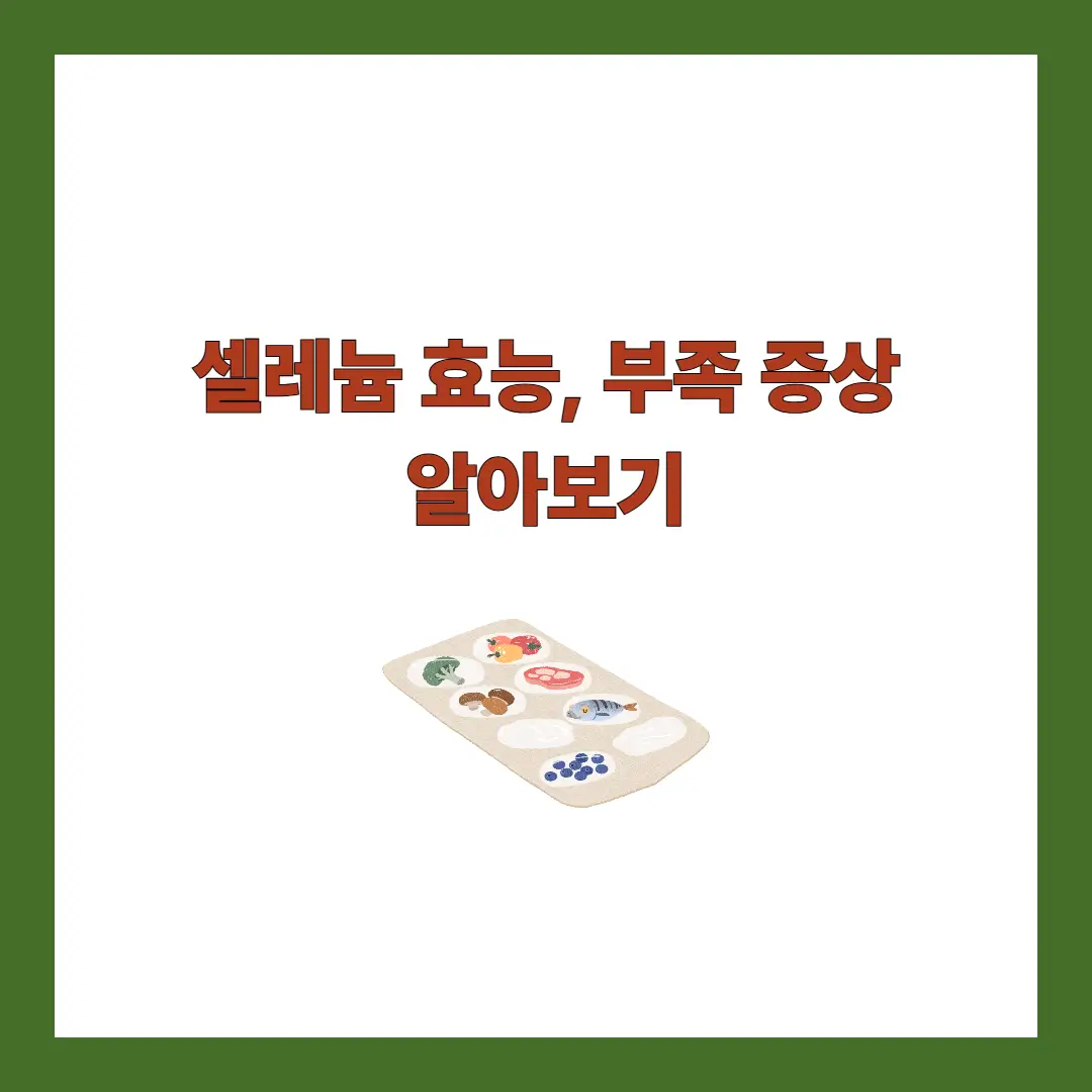 셀레늄 효능