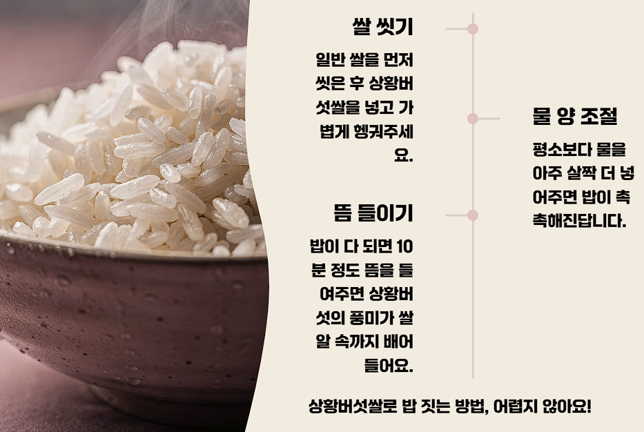 상황버섯 쌀 효능 가격 밥 짓는 법