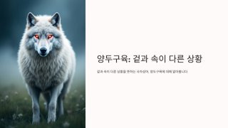 양두구육 유래