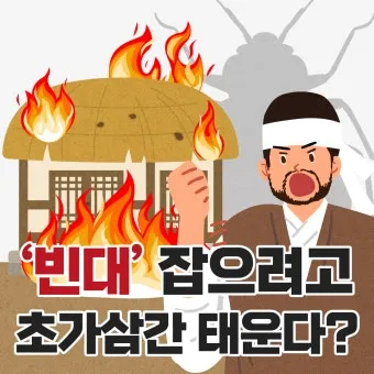 속담 빈대 잡으려고 초가삼간 태운다 의미와 예시_3