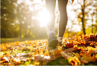 화담숲 벚꽃 예약