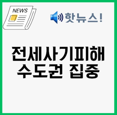수도권 전세사기 실태