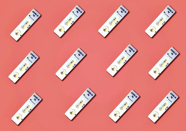 코로나 자가진단키트: 편의점 약국 구매, 재고 조회, 사용 방법, 가격