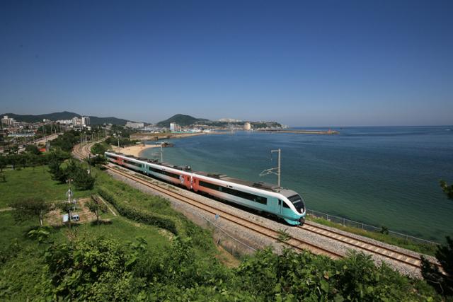 동해산타열차 안내