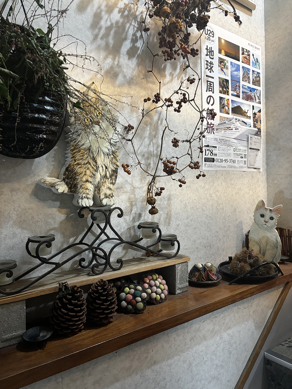 후쿠오카 가정요리 와코