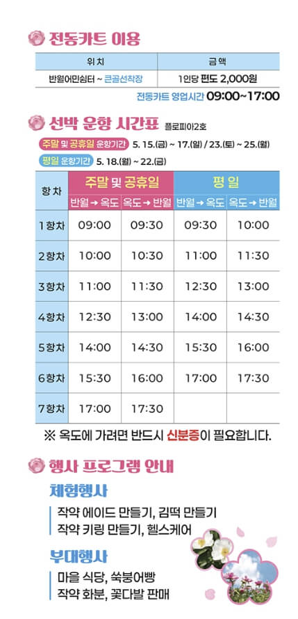 신안 작약꽃축제