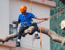 건설업 기초안전보건교육기관