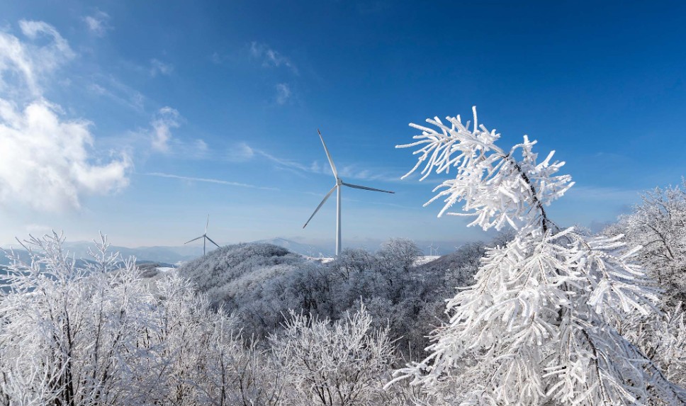 대관령 삼양목장 겨울사진