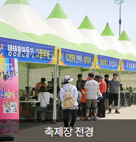 2024년 정남진 장흥 키조개 축제