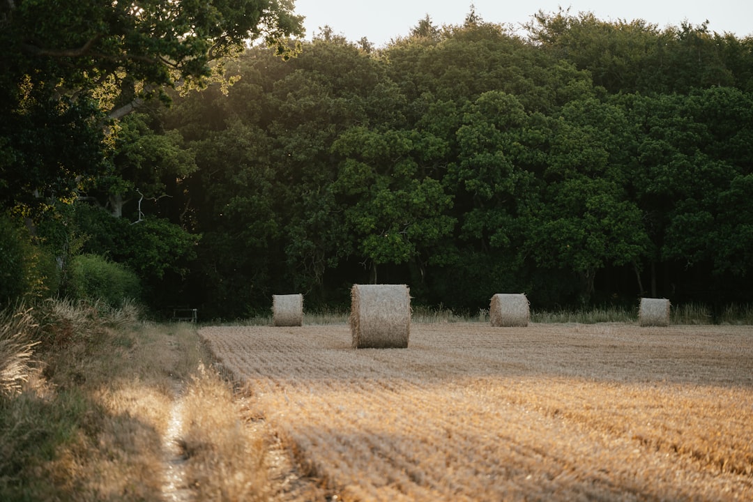 Agricultural