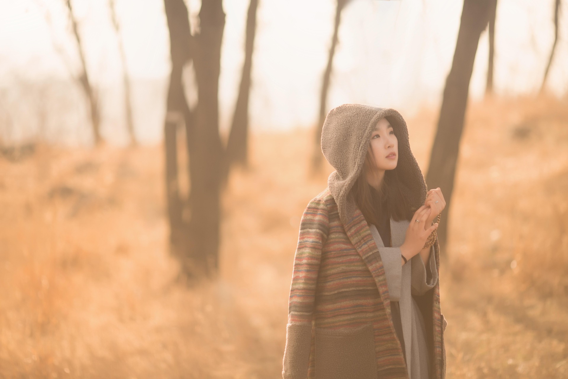 할인 품목 및 추천 아이템