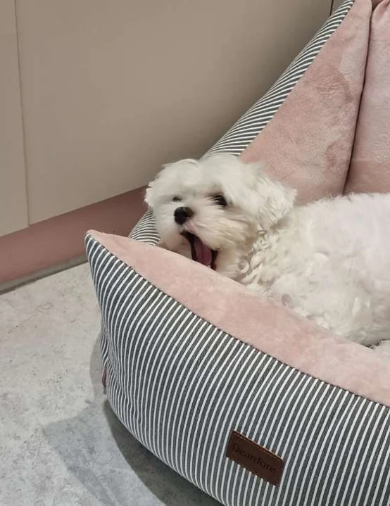 뷰티다.방