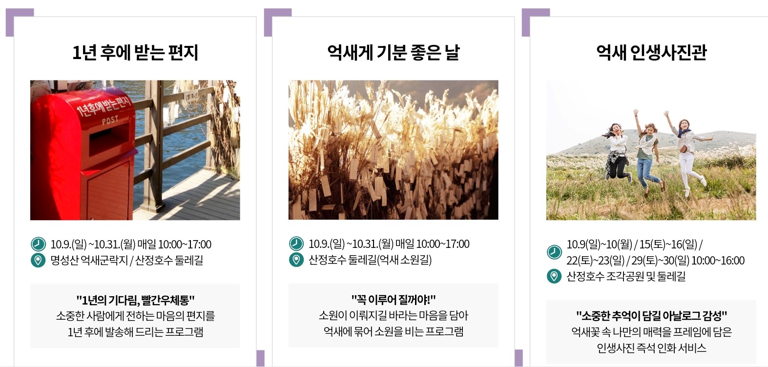 포천산정호수 억새꽃축제