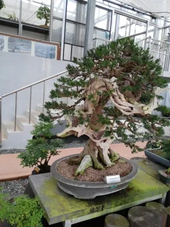 압해도 분재공원 근처 선착장에서의 낚시 농어와 도다리 포인트 소개 완벽 낚시터_10