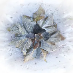 독감예방접종 시기