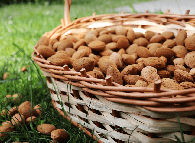 당뇨에 좋은 음식